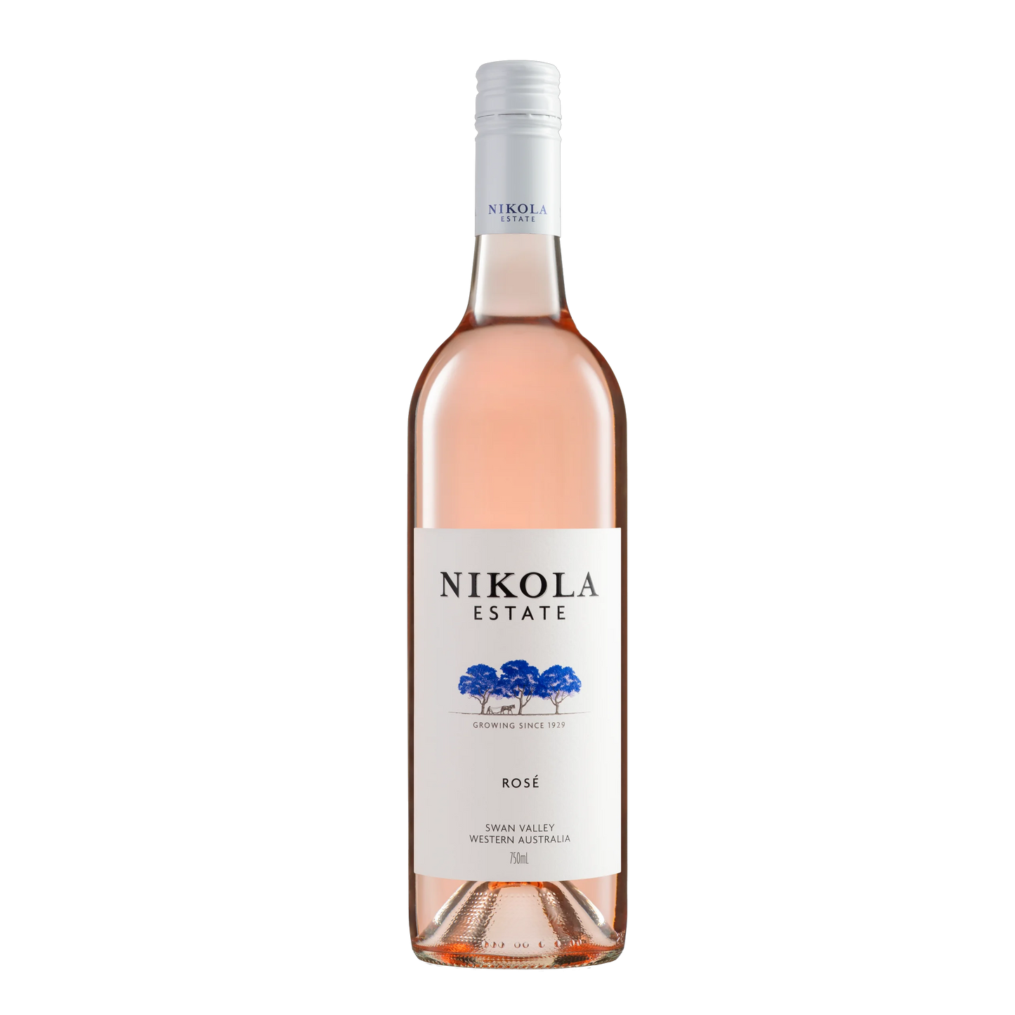 Nikola Estate Rose 2024